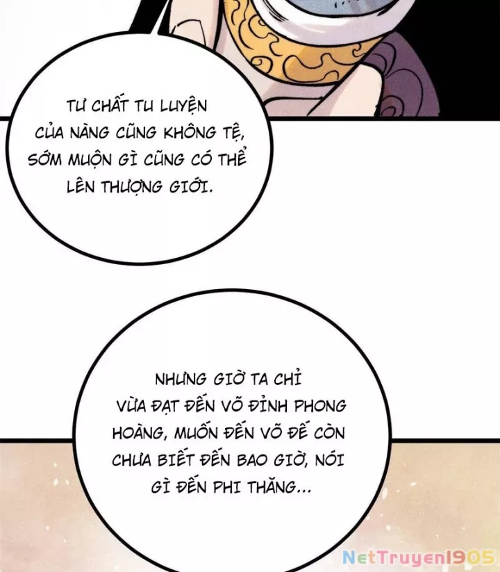 Vạn Cổ Tối Cường Tông Chapter 426 - Trang 2