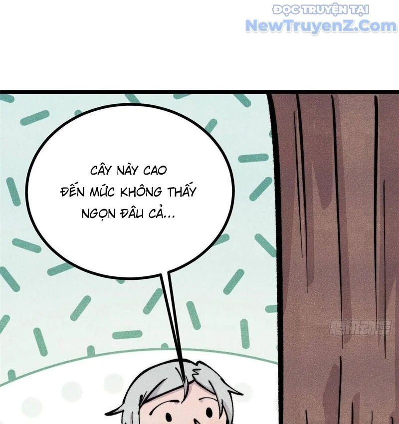 Vạn Cổ Tối Cường Tông Chapter 429 - Trang 2