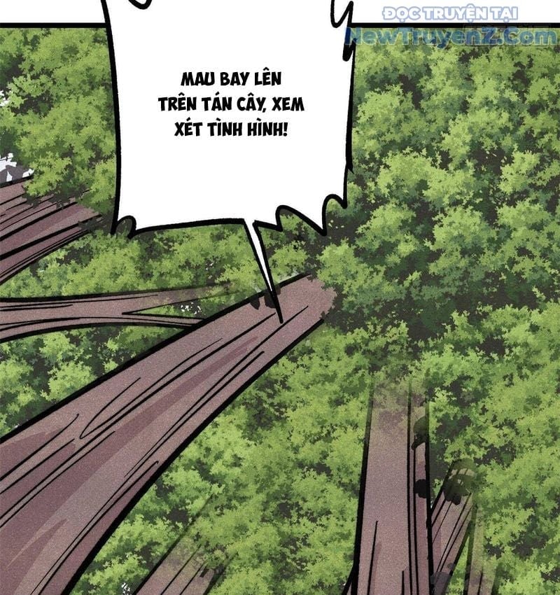 Vạn Cổ Tối Cường Tông Chapter 429 - Trang 2