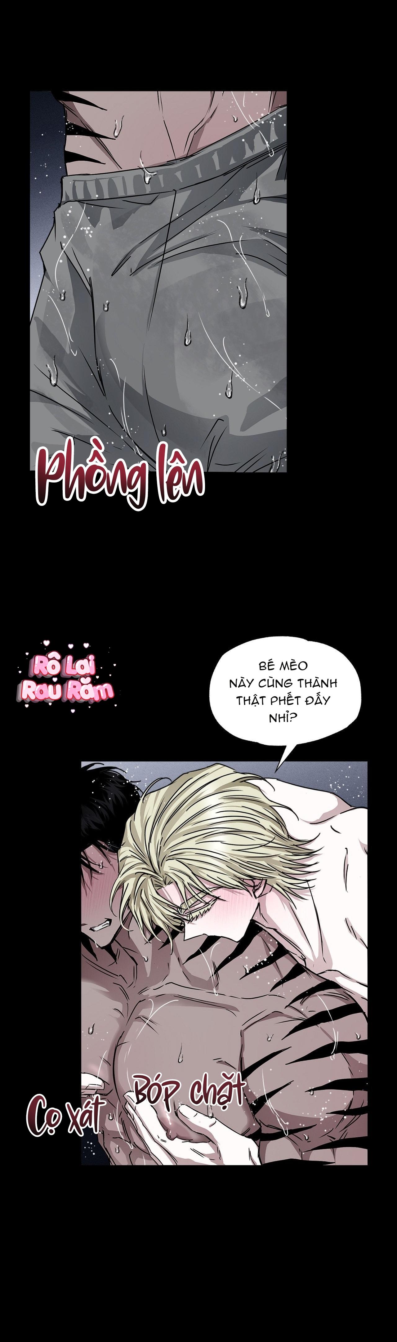 Vân Long Phong Hổ Chapter 15 H++ - Trang 3
