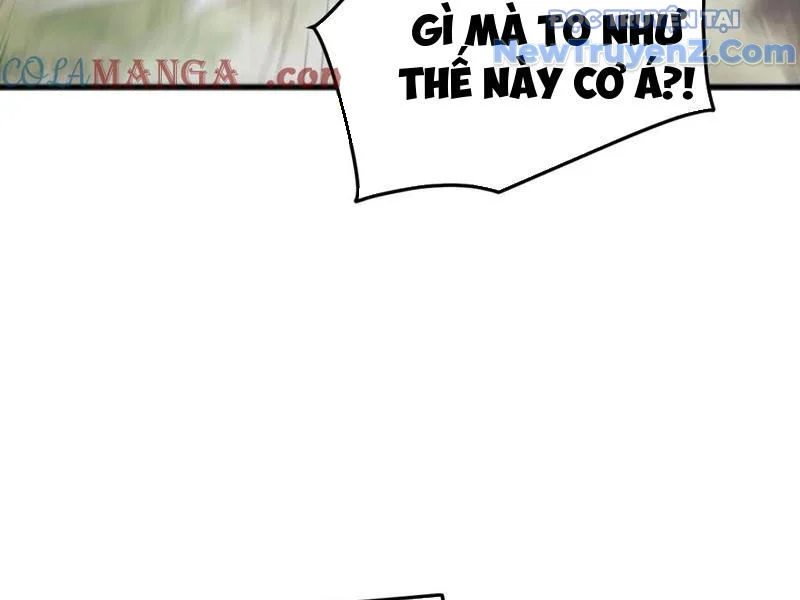 Vạn Tộc Xâm Lược: Bắt Đầu Thuần Hóa Cự Thú Cấp Sử Thi Chapter 33 - Trang 2
