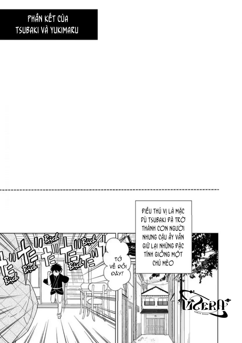 Vào Một Đêm Đầy Sao, Tình Yêu Đã Đến Chapter 5 1