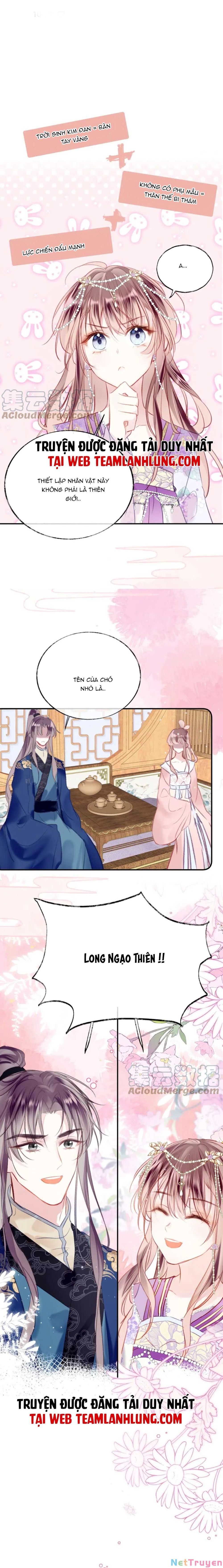 Vi Phu Của Ta Là Long Ngạo Thiên Phần 2 Chapter 31 - Trang 2