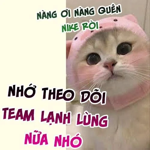 Vi Phu Của Ta Là Long Ngạo Thiên Phần 2 Chapter 49 - Trang 2
