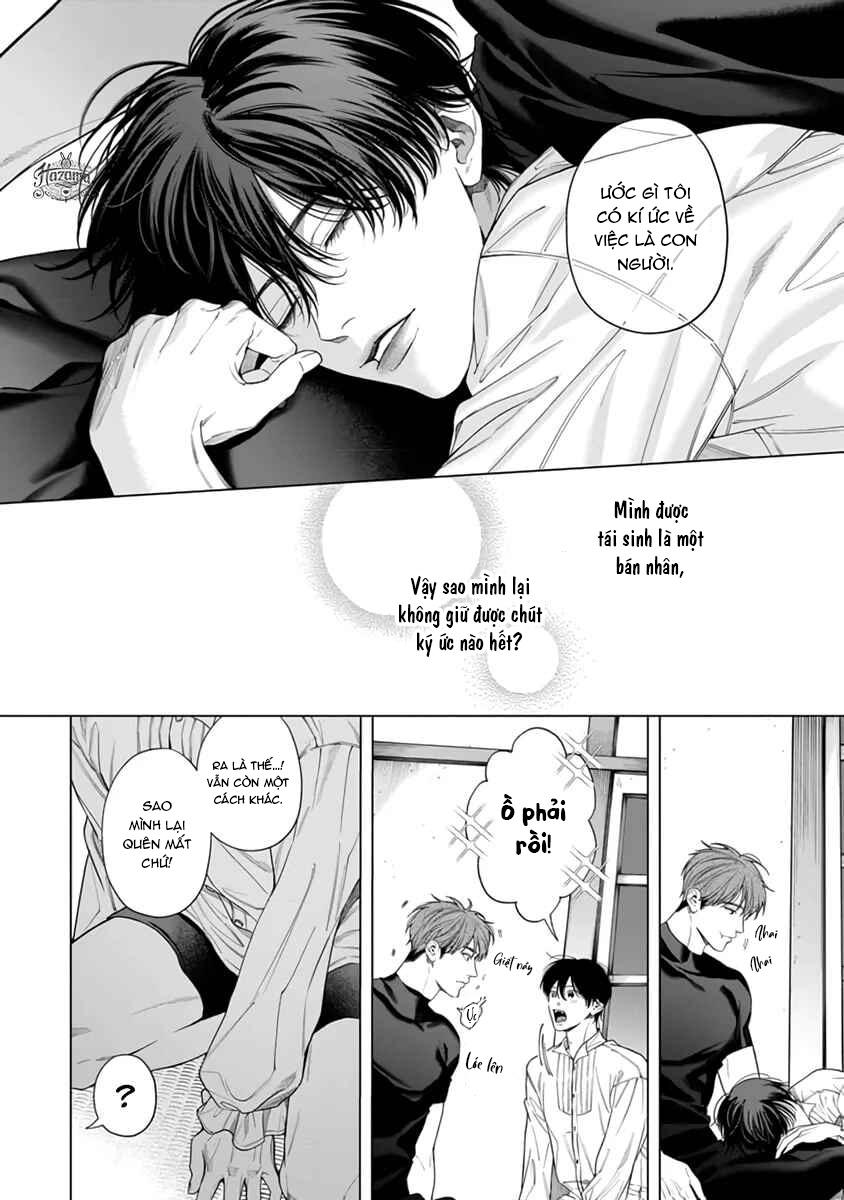 Viên Grarnet Trong Bóng Tối Chapter 4 - Trang 2