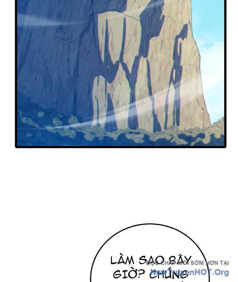 Vô Địch Bị Động Tạo Ra Tấn Sát Thương Chapter 103 - Trang 3