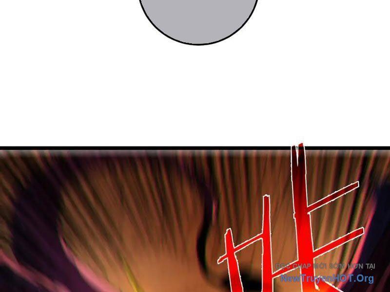 Vô Địch Bị Động Tạo Ra Tấn Sát Thương Chapter 104 - Trang 3