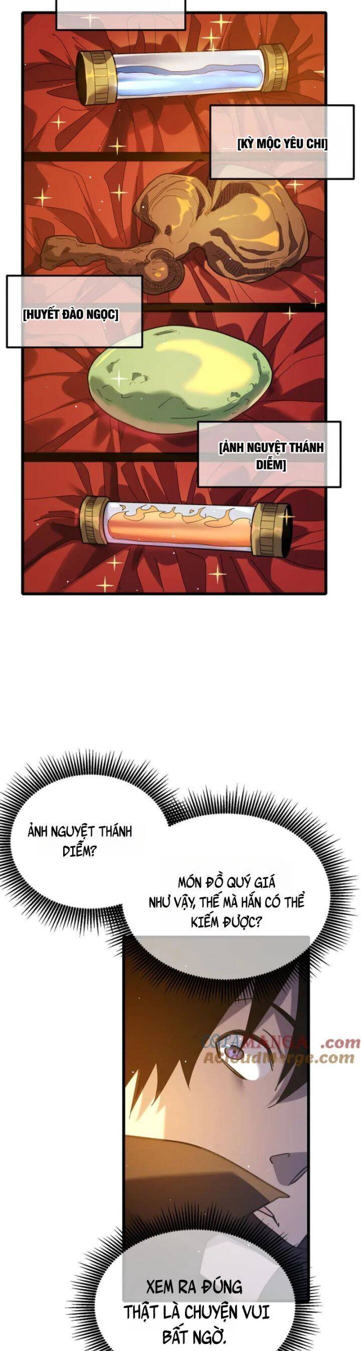 Vô Địch Bị Động Tạo Ra Tấn Sát Thương Chapter 44 - Trang 4