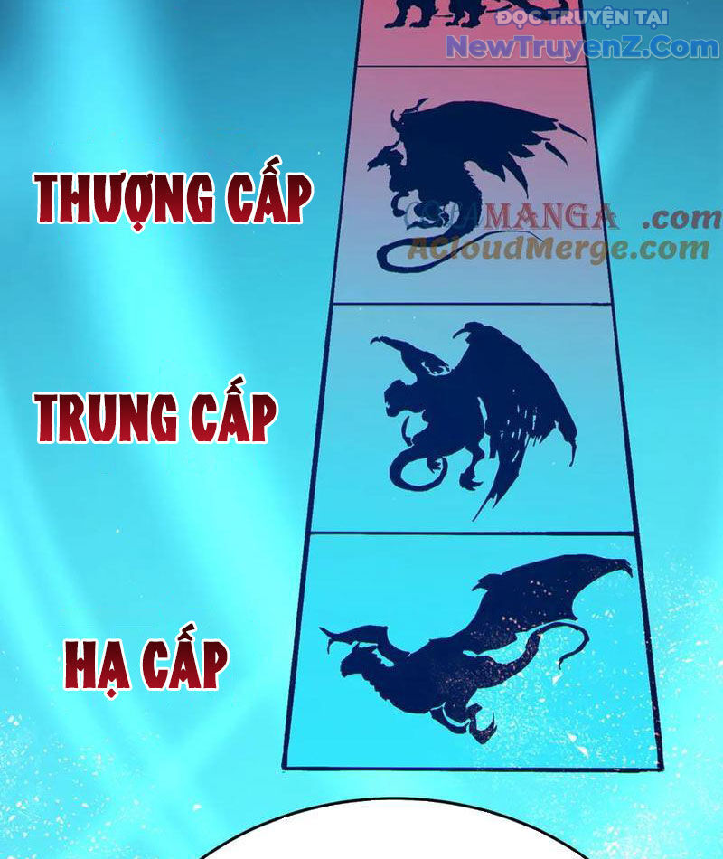 Vô Địch Bị Động Tạo Ra Tấn Sát Thương Chapter 84 - Trang 4