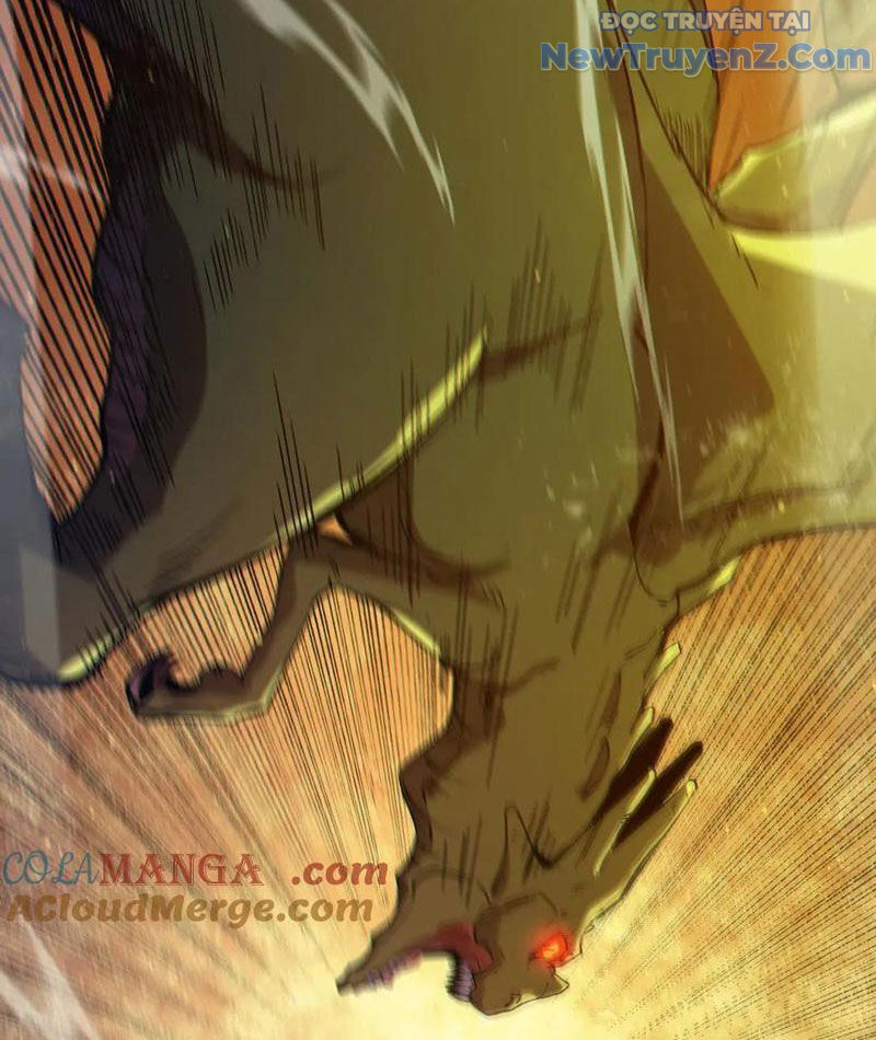 Vô Địch Bị Động Tạo Ra Tấn Sát Thương Chapter 84 - Trang 4