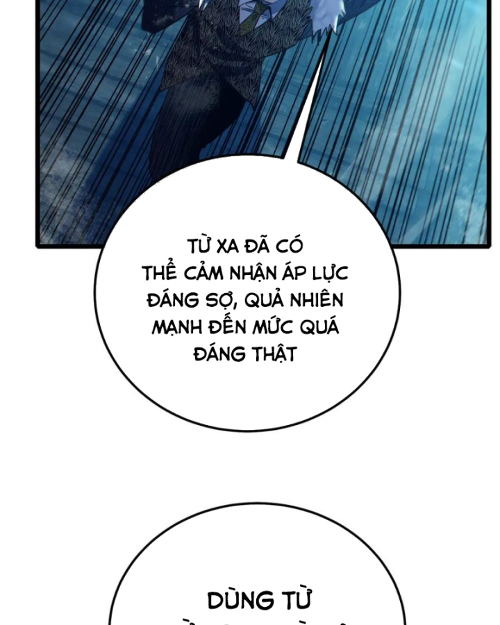 Vô Địch Bị Động Tạo Ra Tấn Sát Thương Chapter 85 - Trang 2