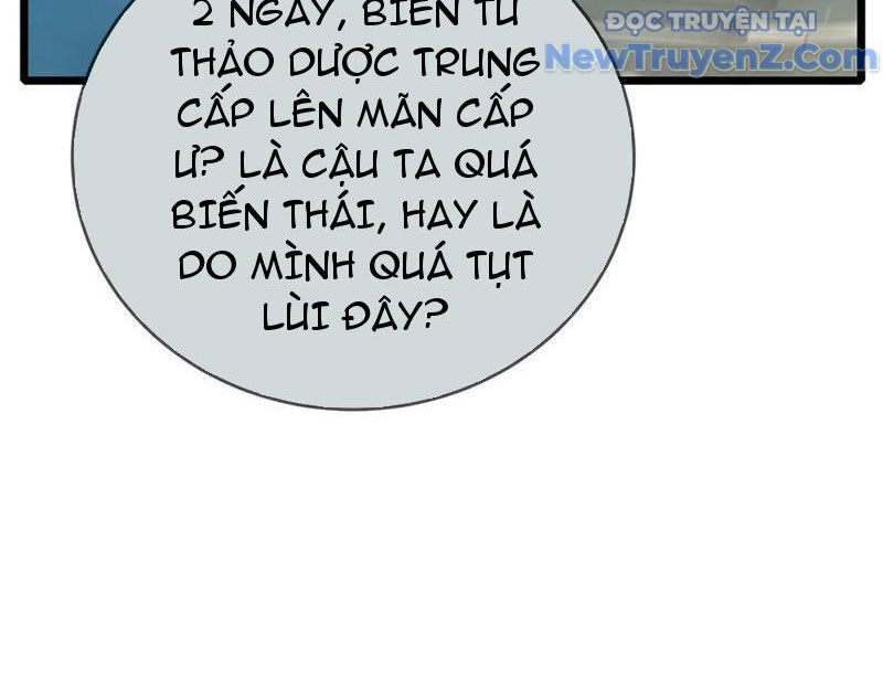 Vô Địch Bị Động Tạo Ra Tấn Sát Thương Chapter 87 - Trang 4