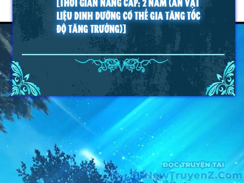 Vô Địch Bị Động Tạo Ra Tấn Sát Thương Chapter 88 - Trang 4