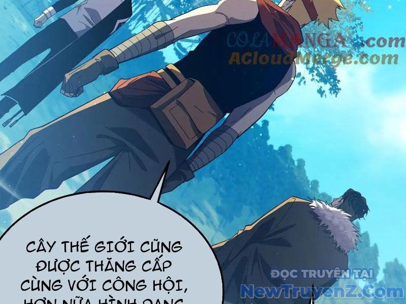 Vô Địch Bị Động Tạo Ra Tấn Sát Thương Chapter 88 - Trang 4