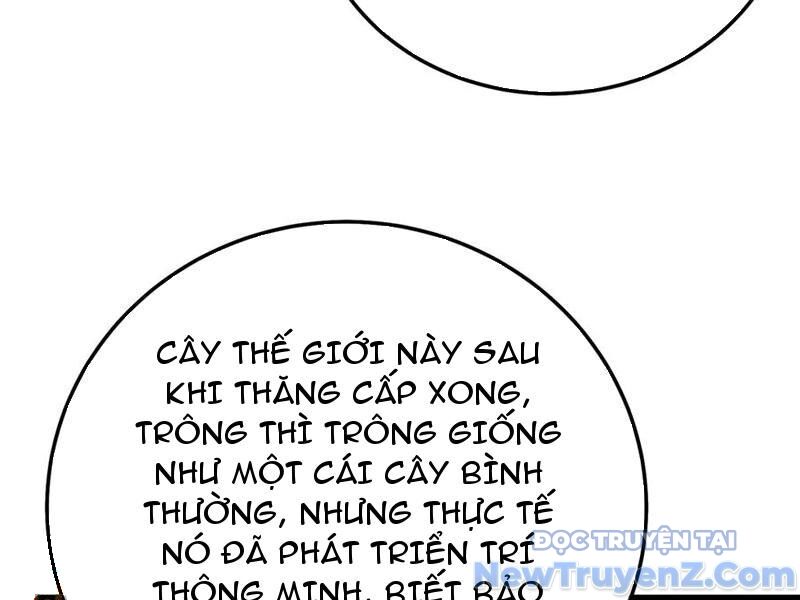 Vô Địch Bị Động Tạo Ra Tấn Sát Thương Chapter 88 - Trang 4