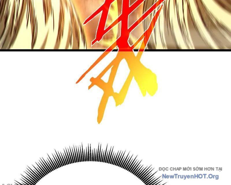 Vô Địch Bị Động Tạo Ra Tấn Sát Thương Chapter 94 - Next Chapter 94.1