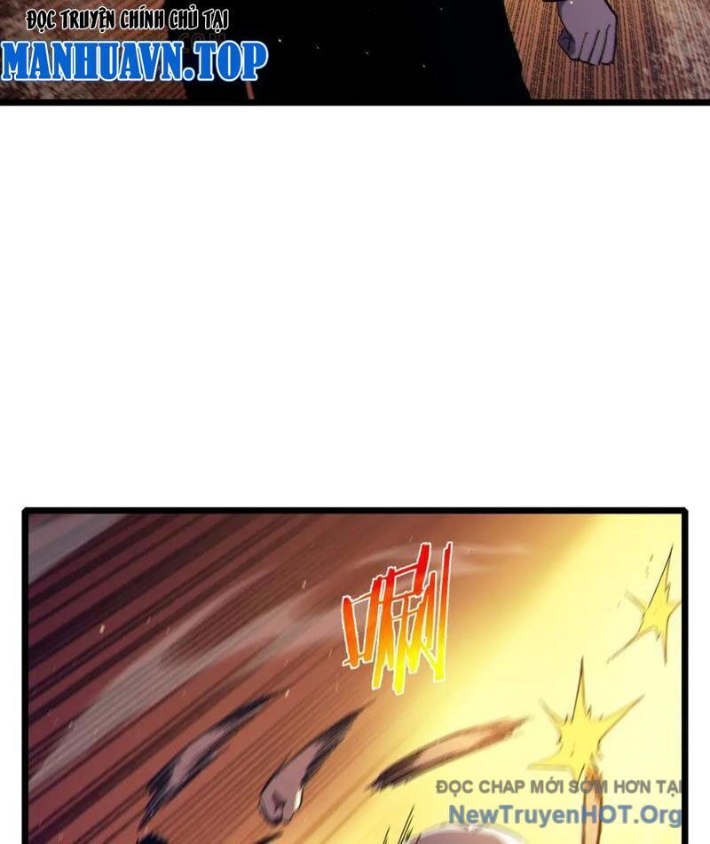 Vô Địch Bị Động Tạo Ra Tấn Sát Thương Chapter 95 - Trang 3