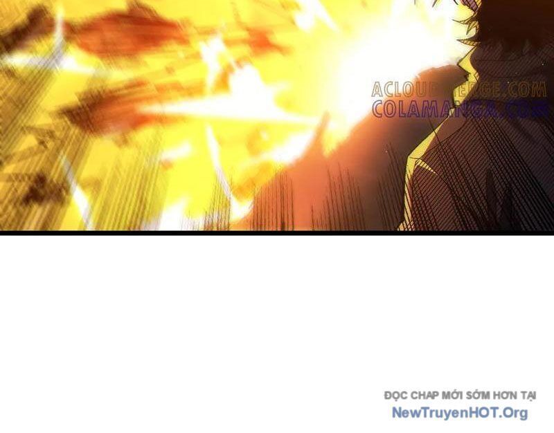 Vô Địch Bị Động Tạo Ra Tấn Sát Thương Chapter 96 - Trang 3