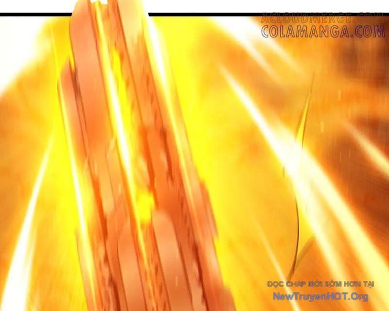 Vô Địch Bị Động Tạo Ra Tấn Sát Thương Chapter 96 - Trang 3