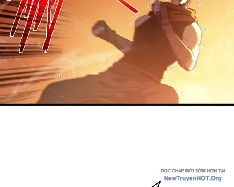 Vô Địch Bị Động Tạo Ra Tấn Sát Thương Chapter 96 - Trang 3