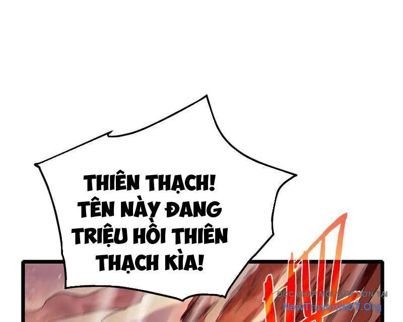 Vô Địch Bị Động Tạo Ra Tấn Sát Thương Chapter 96 - Trang 3