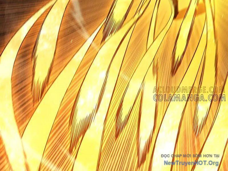 Vô Địch Bị Động Tạo Ra Tấn Sát Thương Chapter 97 - Trang 3