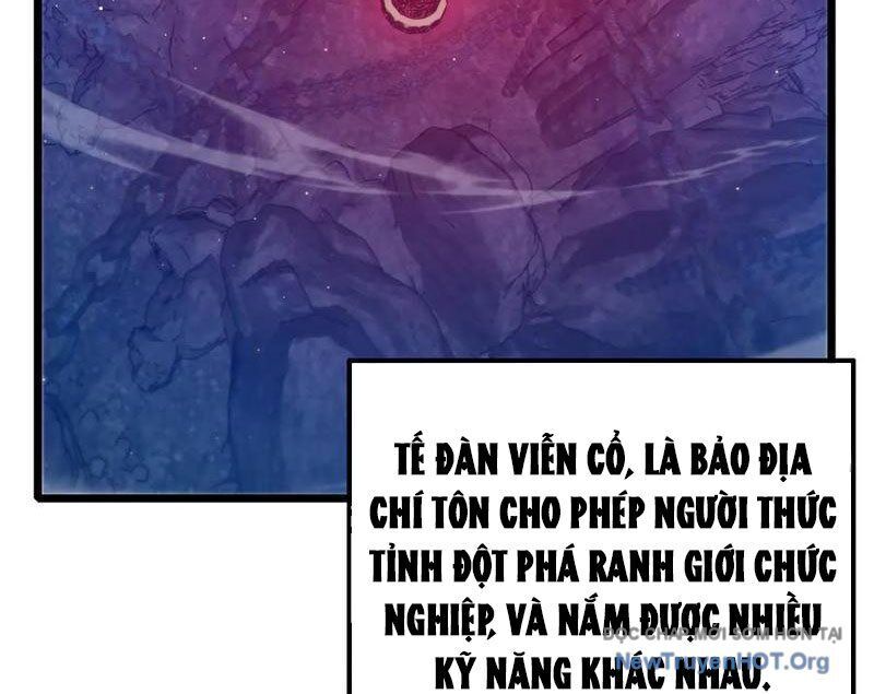 Vô Địch Bị Động Tạo Ra Tấn Sát Thương Chapter 99 - Trang 3