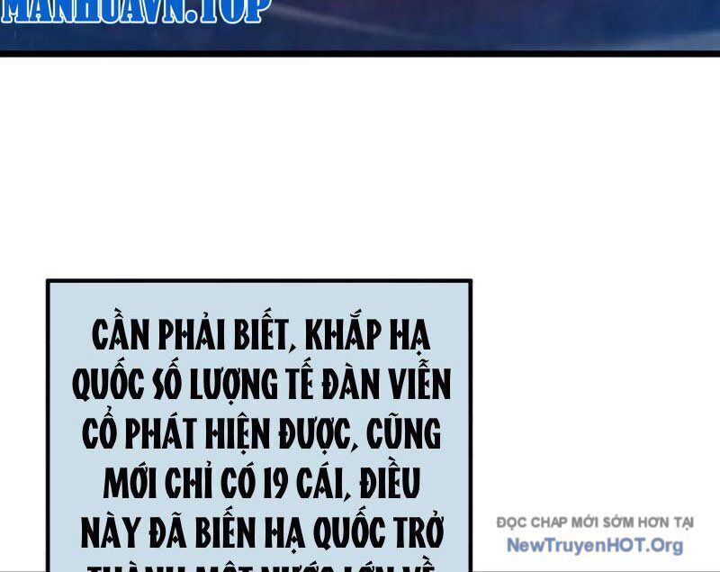 Vô Địch Bị Động Tạo Ra Tấn Sát Thương Chapter 99 - Trang 3