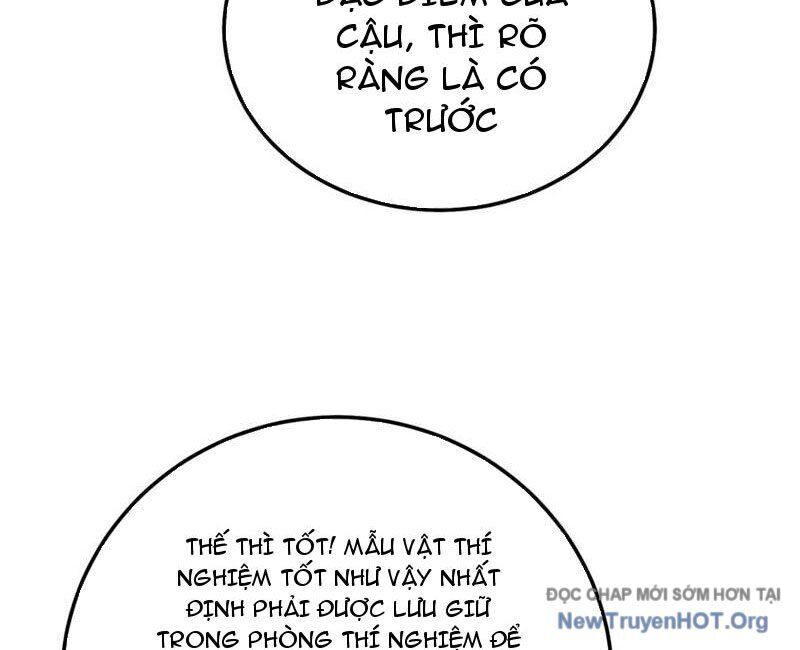 Vô Địch Bị Động Tạo Ra Tấn Sát Thương Chapter 99 - Trang 3