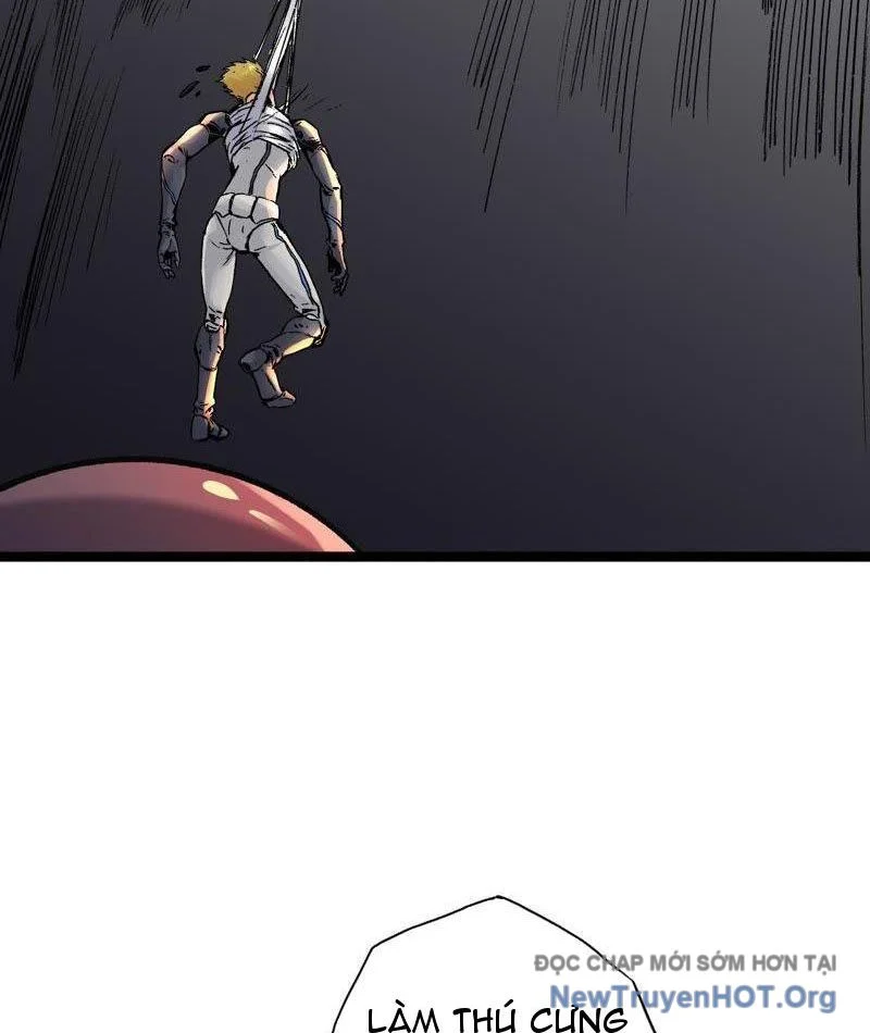Vô Hạn Dị Hóa: Chiến Tranh Hệ Nhị Phân Chapter 20 - Next Chapter 21