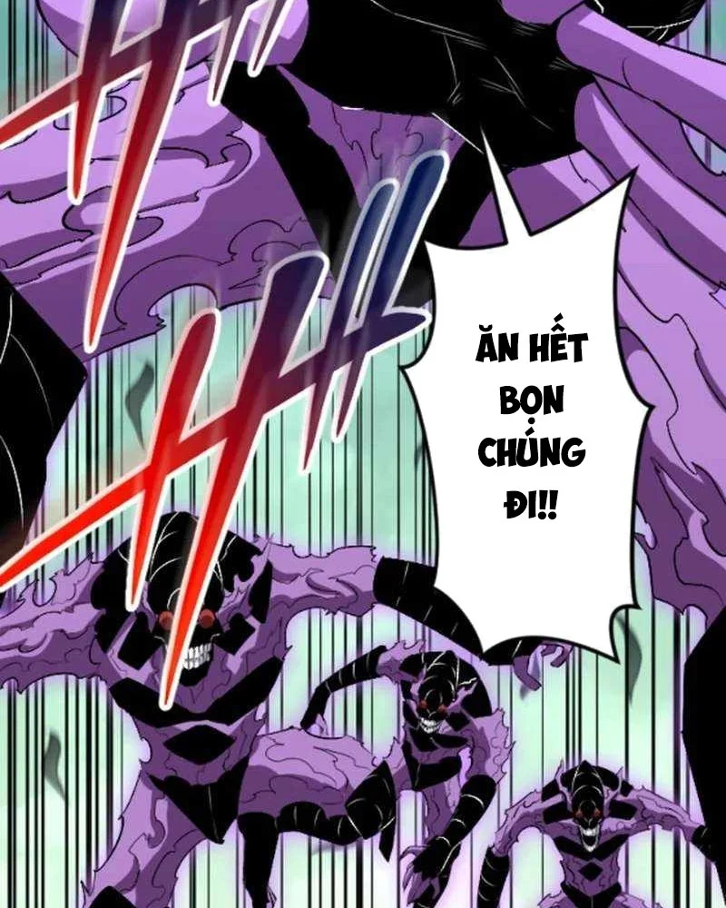 Vô Song Cùng Với Vũ Khí Ẩn Chapter 51 - Trang 2