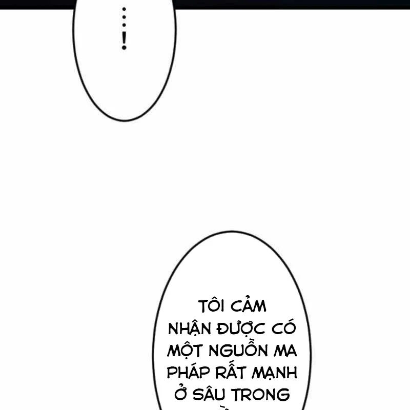 Vô Song Cùng Với Vũ Khí Ẩn Chapter 52 - Trang 2