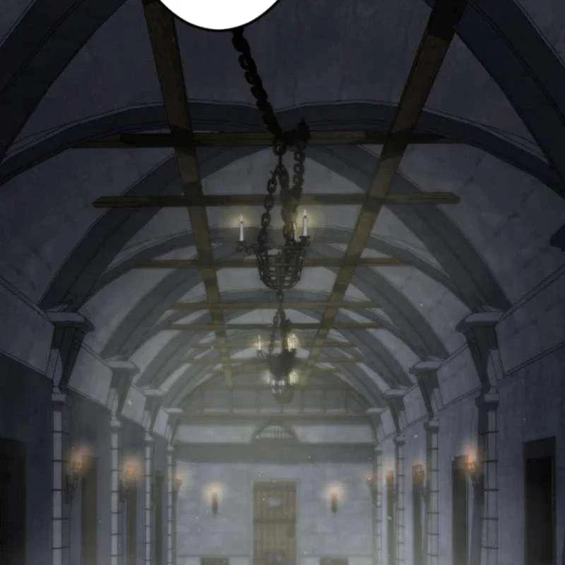 Vô Song Cùng Với Vũ Khí Ẩn Chapter 52 - Trang 2