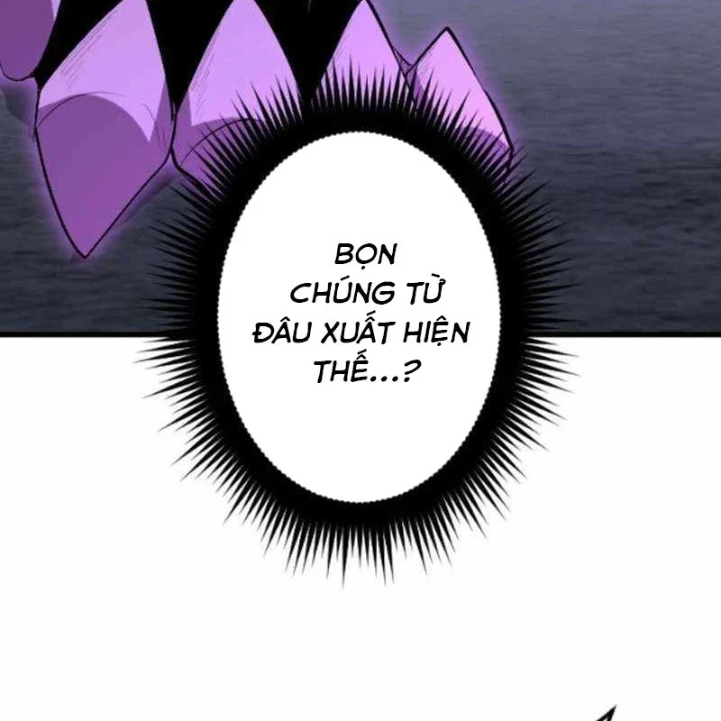 Vô Song Cùng Với Vũ Khí Ẩn Chapter 52 - Trang 2