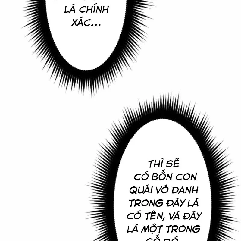 Vô Song Cùng Với Vũ Khí Ẩn Chapter 52 - Trang 2