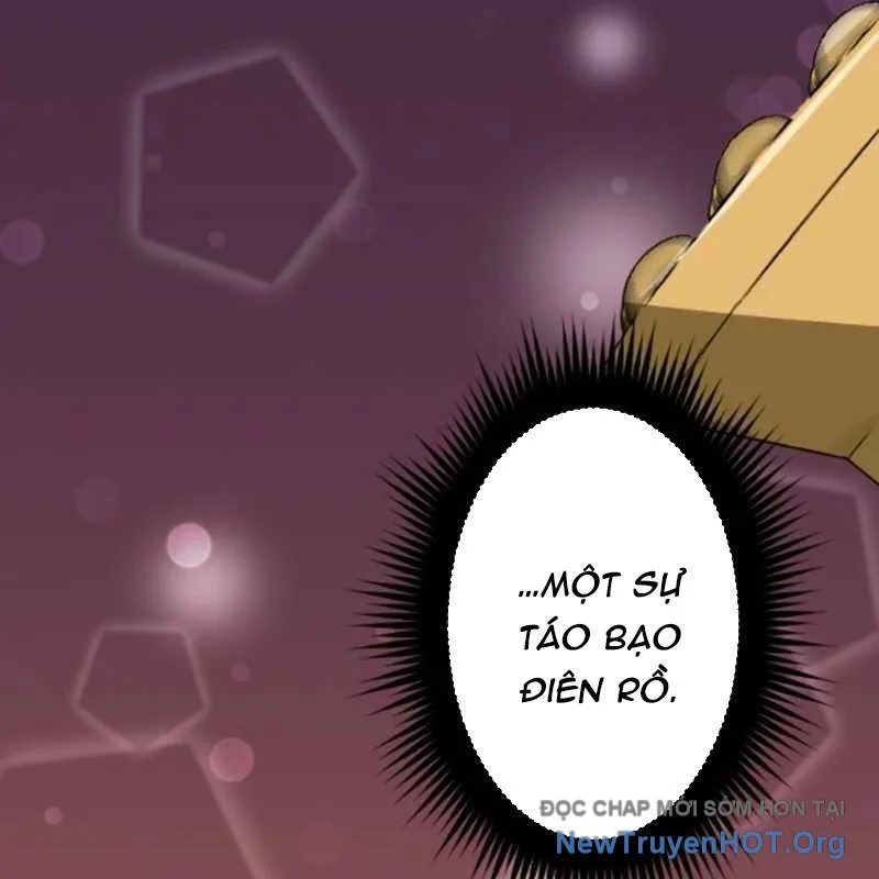 Vô Song Cùng Với Vũ Khí Ẩn Chapter 55 - Trang 3