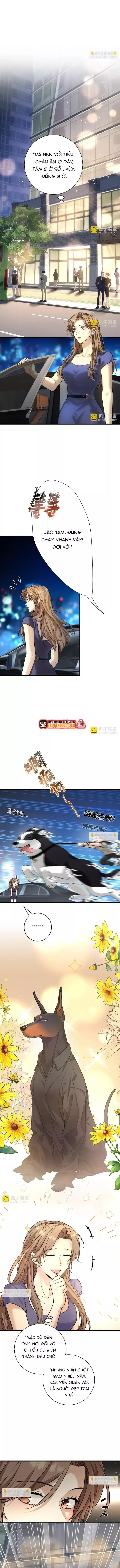 Vô Tình Kết Hôn Với Tổng Tài Chapter 30 7