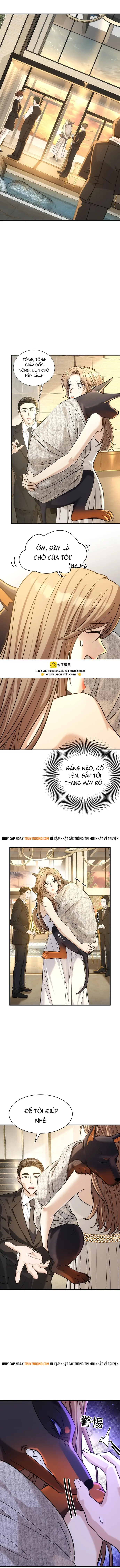 Vô Tình Kết Hôn Với Tổng Tài Chapter 42 6