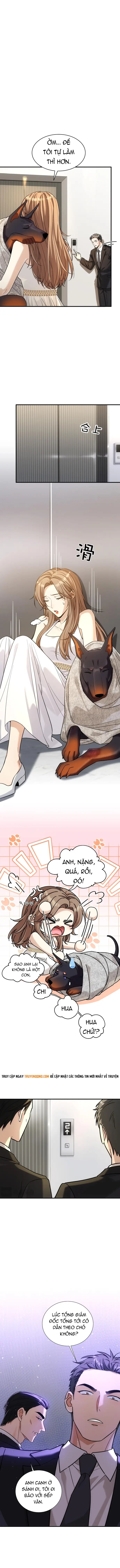 Vô Tình Kết Hôn Với Tổng Tài Chapter 42 7