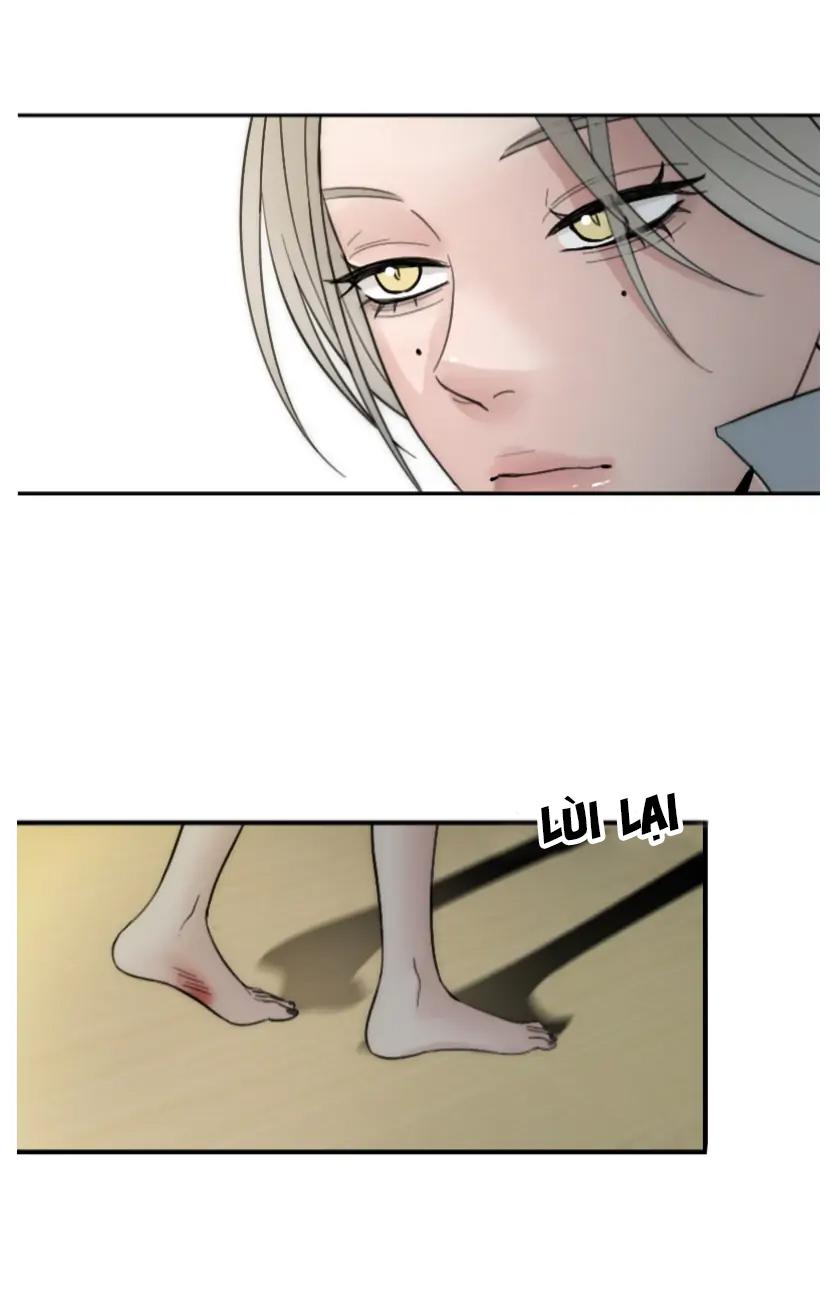 Vô Tình Chapter 2 Chap 2 - Trang 2