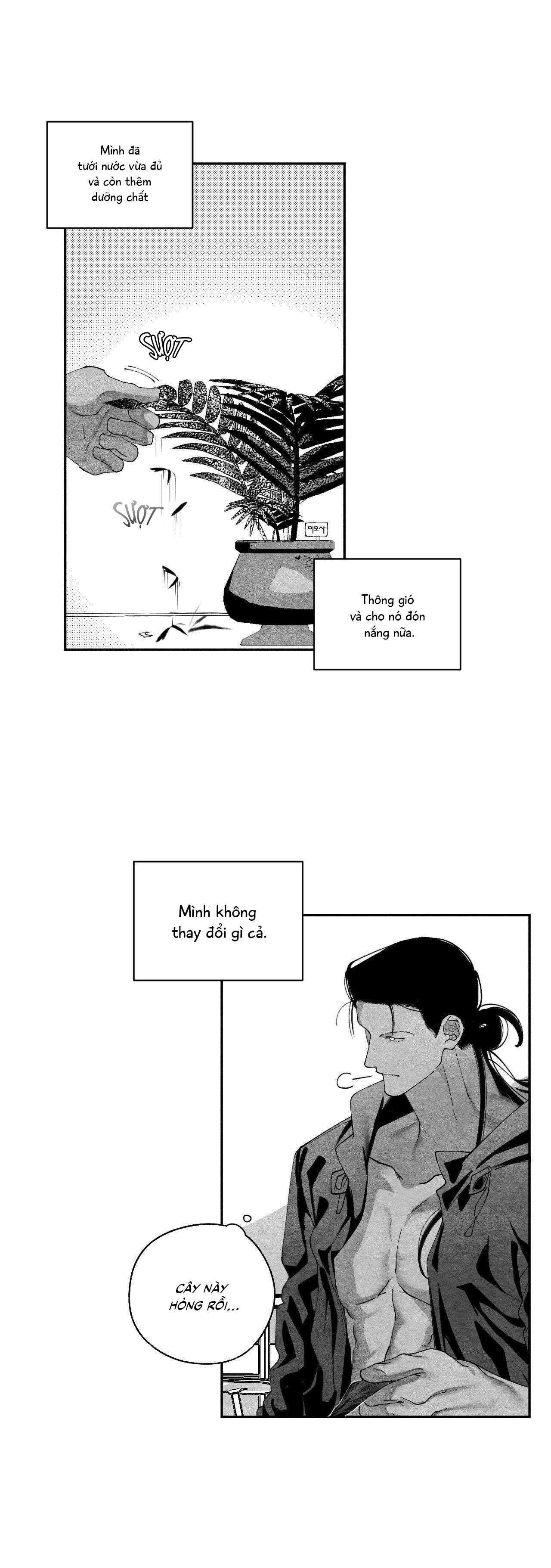Vóc Dáng Toàn Mỹ Chapter 25 - Trang 2