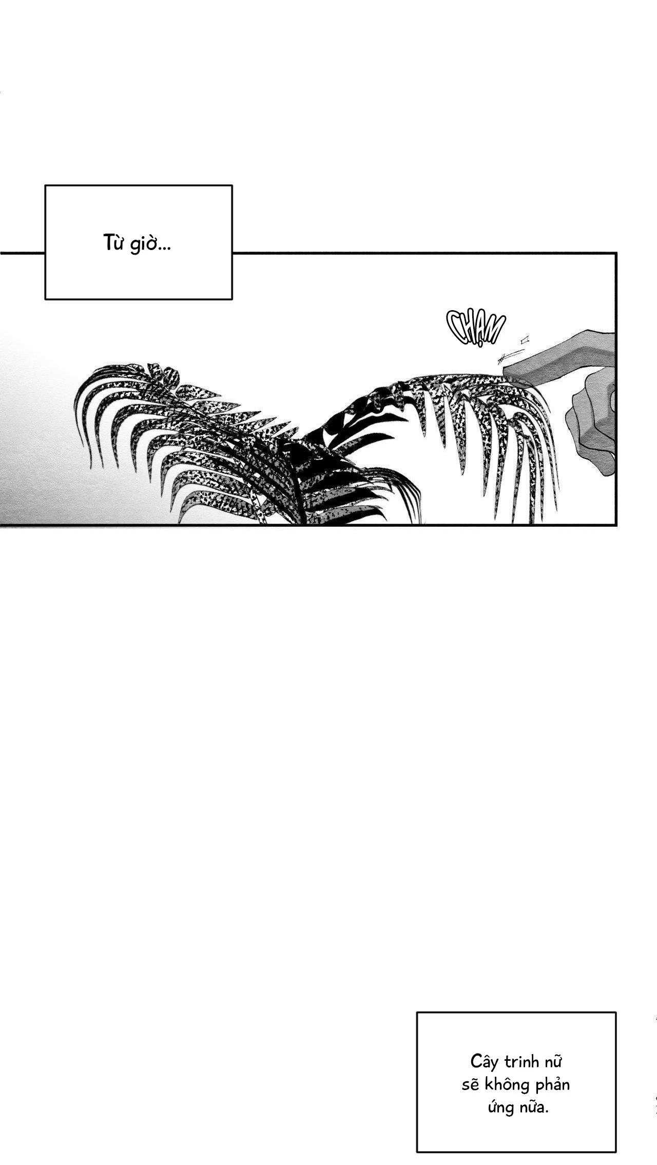 Vóc Dáng Toàn Mỹ Chapter 25 - Trang 2