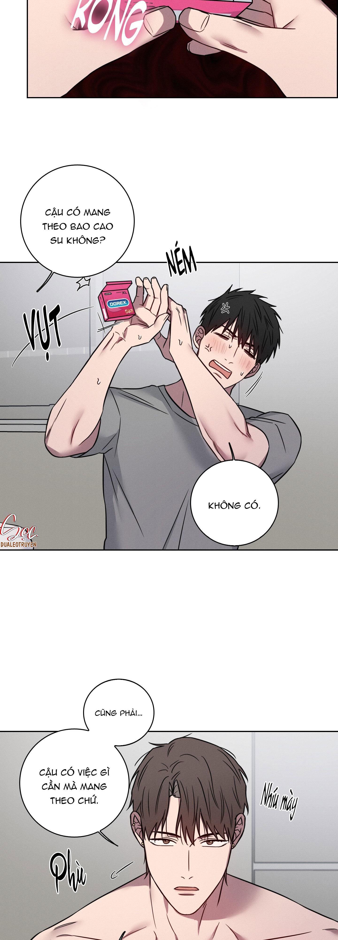 VỤ ÁN CON CU BIẾN MẤT Chapter 11 - Next 