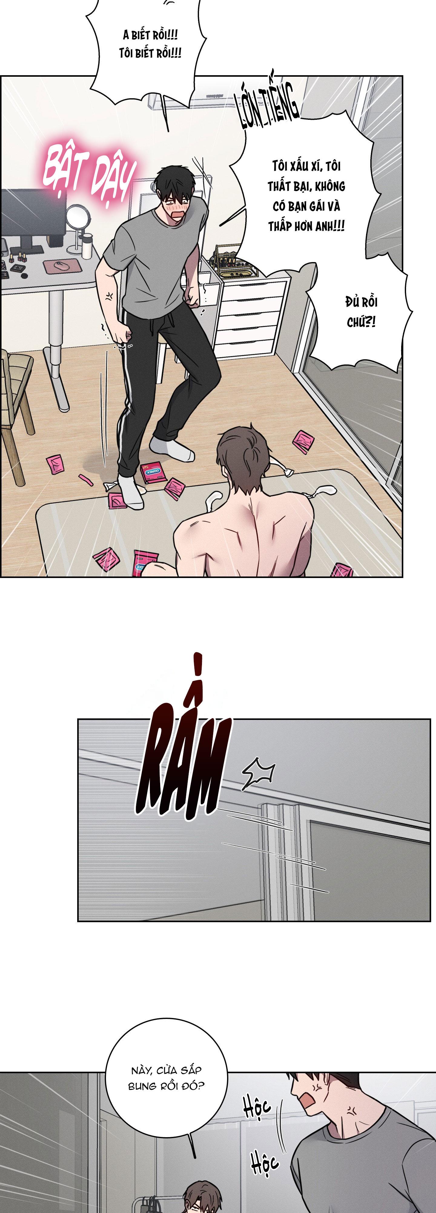 VỤ ÁN CON CU BIẾN MẤT Chapter 11 - Next 