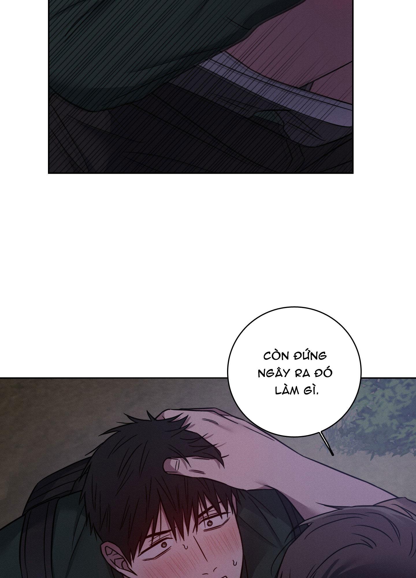 VỤ ÁN CON CU BIẾN MẤT Chapter 12 - Next 