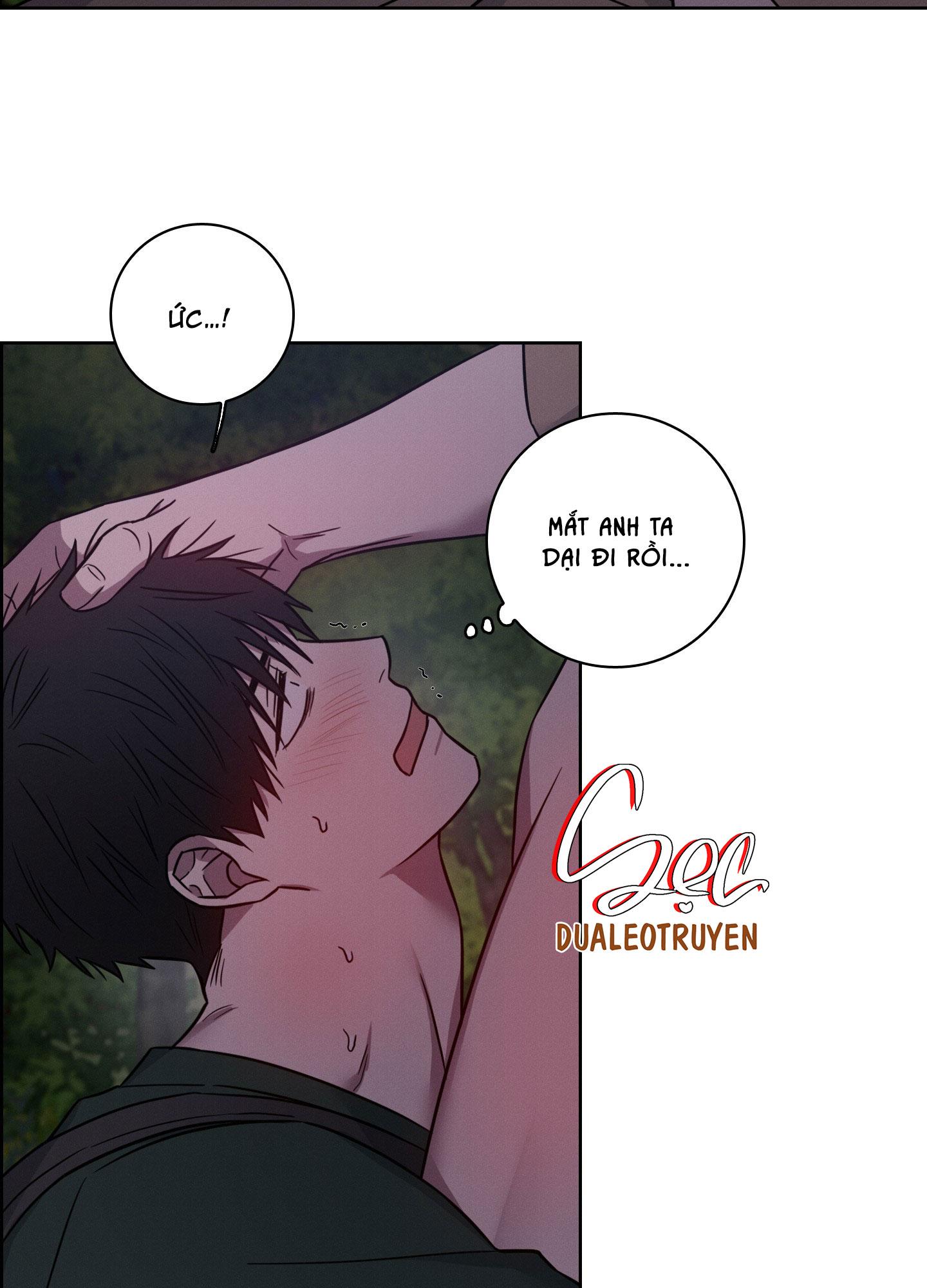 VỤ ÁN CON CU BIẾN MẤT Chapter 12 - Next 