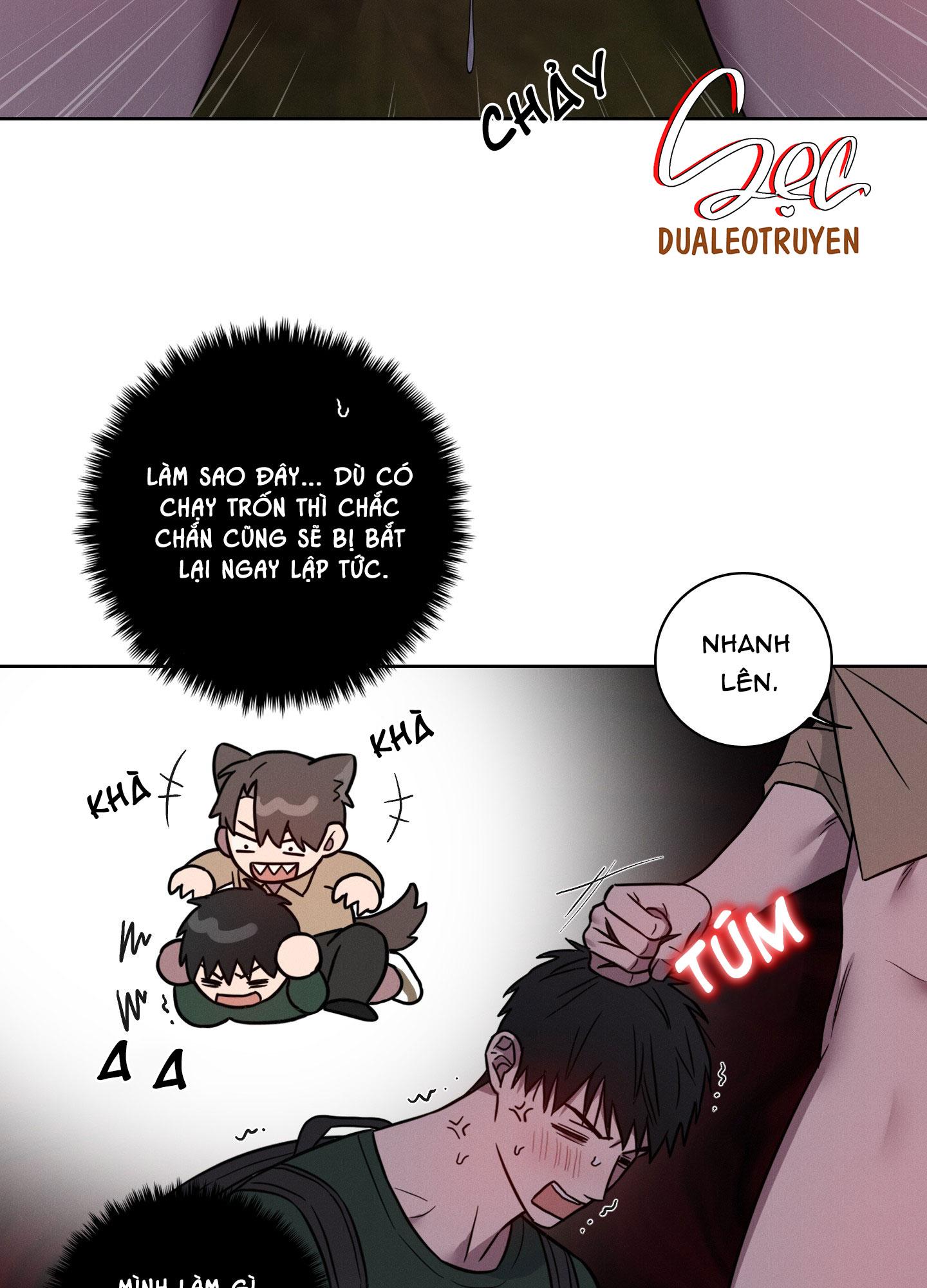 VỤ ÁN CON CU BIẾN MẤT Chapter 12 - Next 