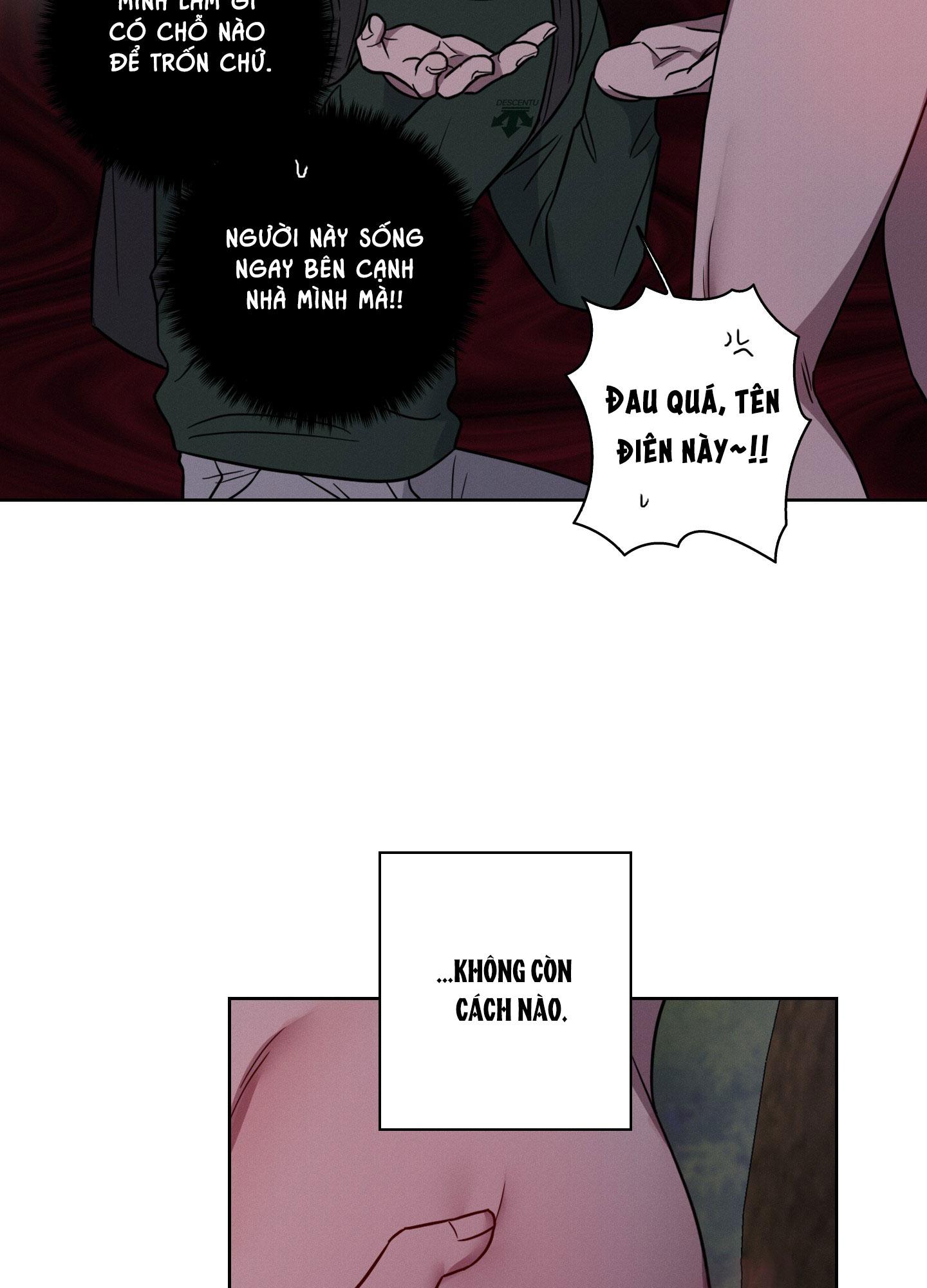 VỤ ÁN CON CU BIẾN MẤT Chapter 12 - Next 