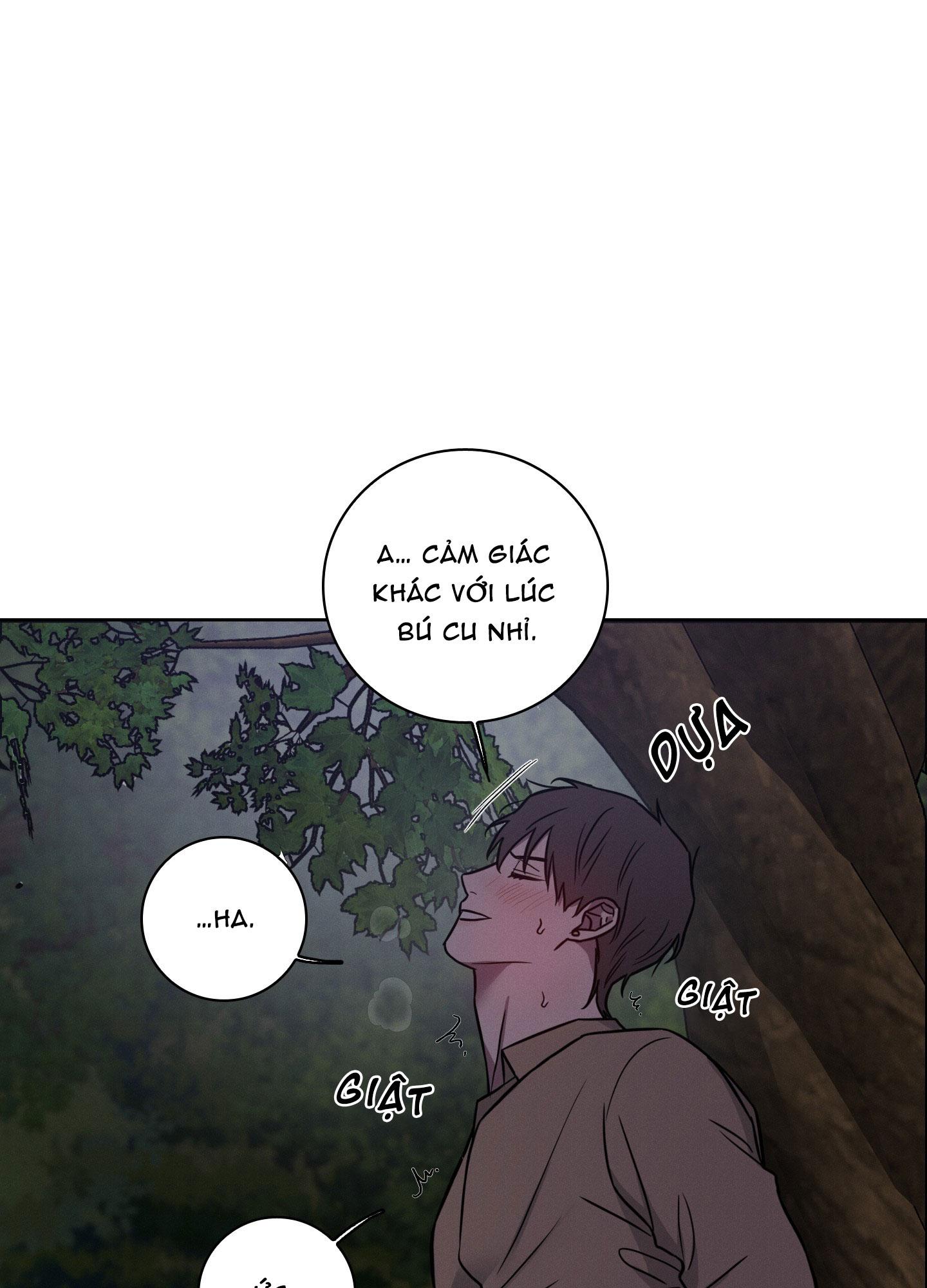 VỤ ÁN CON CU BIẾN MẤT Chapter 12 - Next 