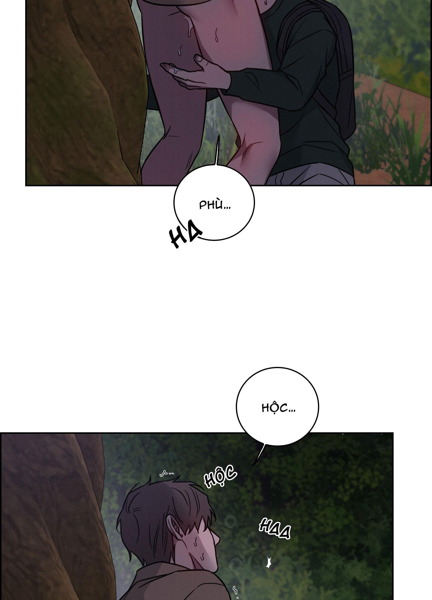 VỤ ÁN CON CU BIẾN MẤT Chapter 12 - Next 